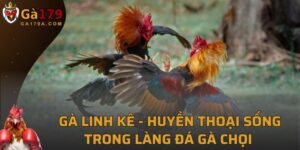 Gà Linh Kê