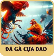 Sảnh Đá Gà Cựa Dao