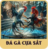 Sảnh Đá Gà Cựa Sắt