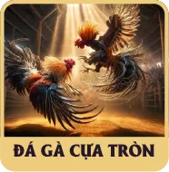 Sảnh Đá Gà Cựa Tròn