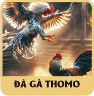 Sảnh Đá Gà Thomo